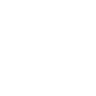 100% human translation icon