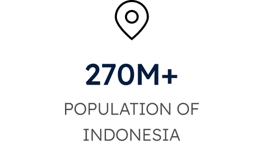 270M+ POPULATION OF INDONESIA